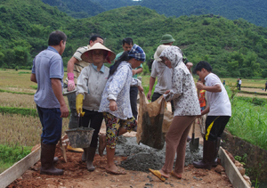 Người dân xã Nà Phòn (Mai Châu) góp vật liệu và ngày công lao động để kiên cố hóa hệ thống kênh mương nội đồng, phấn đấu hoàn thành tiêu chí thủy lợi.