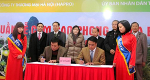 Ký kết liên kết trong tiêu thụ sản phẩm cam Cao Phong  giữa UBND tỉnh và Tổng Công ty Thương mại Hà Nội. Ảnh: P.V