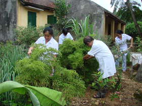 Cán bộ Trạm y tế xã Tân Thành(Lương Sơn) chăm sóc vườn thuốc nam.