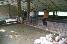 Công tác kiểm tra, giám sát về chăn nuôi thú y trên địa bàn huyện Mai Châu luôn được quan tâm của Chi cục thú y và cấp ủy Đảng địa phương.