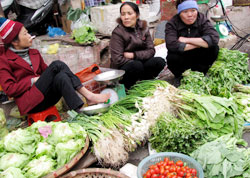 Tại hầu hết các chợ, giá rau xanh đang tăng với mức tăng phổ biến khoảng 20%.