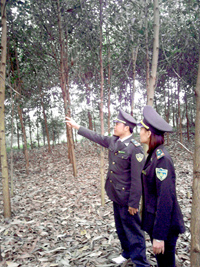 Lực lượng kiểm lâm huyện Cao Phong kiểm tra, đôn đốc, hướng dẫn PCCCR tại địa bàn.