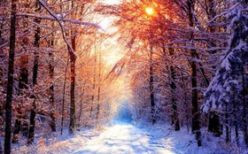 Hình nền  mùa đông tuyết nhà ở Núi rừng hàng rào Đèn Hoàng hôn Bầu  trời Đám mây thiên nhiên phong cảnh 4633x3500  sannukas0016  1976763  Hình  nền đẹp hd  WallHere