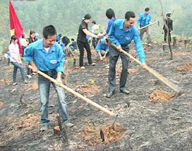 ĐVTN huyện Mai Châu tích cực tham gia trồng cây, cải tạo môi trường sống