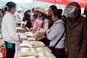 Hội chợ giống nông hội Kim Bôi thu hút nông dân trong vùng đến mua và trao đổi giống