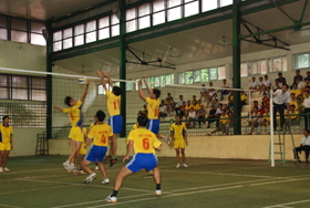 CB, CNVC-LĐ tích cực tham gia giải bóng chuyền CNVC-LĐ năm 2010.