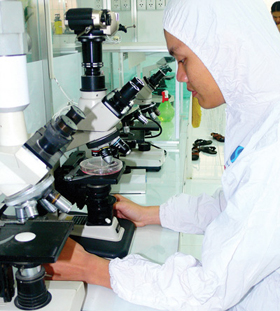 Nghiên cứu sinh đang thực tập tại Phòng thí nghiệm sinh học của ĐH Quốc gia TPHCM