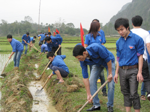 ĐV- TN huyện Lạc Thủy tham gia nạo vét kênh mương nội đồng tại xóm Rộc Trụ 1, xã Khoan Dụ phục vụ sản xuất.