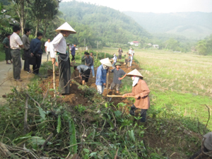 Nhân dân xóm Bún, xã Yên Mông (TPHB) phát dọn kênh mương phục vụ SX vụ chiêm - xuân 2013 sắp tới.