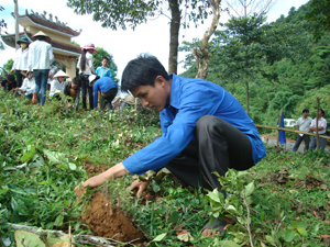 Phát huy tinh thần tuổi trẻ hành động vì cuộc sống cộng đồng, ĐV- TN huyện Cao Phong tham gia trồng cây tại xã Yên Thượng nhân ngày môi trường thế giới.