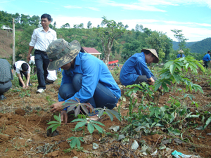 Thực hiện phong trào tình nguyện vì cuộc sống cộng đồng, ĐV-TN huyện Cao Phong tham gia trồng cây phủ xanh đất trống, đồi núi trọc tại xã Yên Thượng.