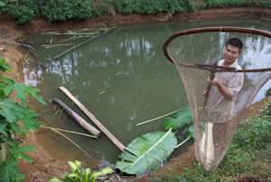 Hộ dân xóm Tôm, xã Tân Lập (Lạc Sơn) nuôi cá quy mô nhỏ góp phần cải thiện thu nhập.