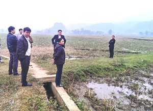 BCĐ 800 tỉnh và huyện đi kiểm tra thực tế tại xã Tân Lập.