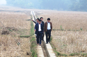 BCĐ 800 tỉnh và huyện đi kiểm tra thực tế tại xã Mai Hạ.