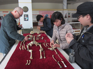Các chuyên gia khảo cổ học từ Nhật Bản và Malaysia đến nghiên cứu, tìm hiểu bộ di cốt đười ươi tại Bảo tàng tỉnh.

