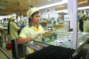 Công ty TNHH Sankoh Việt Nam - Chi nhánh huyện Lạc Sơn đầu tư xây dựng nhà máy, tạo việc làm và thu nhập ổn định cho hàng trăm lao động địa phương.

