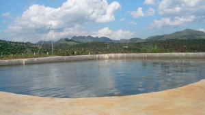 Bê tông mỏng nhà ông Đinh Trọng Toàn, Đội Thu Phong, thị trấn Cao Phong chứa 300 m3 nước.