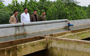 Lãnh đạo Sở NN&PTNT kiểm tra chất lượng công trình cấp nước sinh hoạt xã Phú Lương (Lạc Sơn) trước khi bàn giao đưa vào sử dụng.