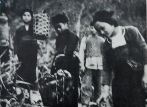 Nhân dân các dân tộc Mường, Thái của tỉnh tham gia tiếp tế lương thực cho chiến dịch Lê Lợi (1949 - 1950) tại chiến trường Hòa Bình. Ảnh: T.L