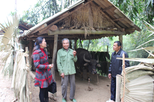 Đoàn giám sát nắm bắt thực tế công tác thực hiện các biện pháp kỹ thuật phòng – chống dịch bệnh, đói rét cho gia súc, gia cầm tại hộ chăn nuôi xã Mai Hạ.