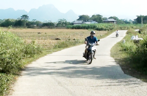 Đường giao thông xóm Bái, xã Phú Cường (Tân Lạc) được bê tông hóa, tạo điều kiện thuận lợi cho người dân  đi lại và giao thương hàng hóa.