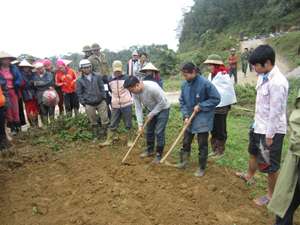 Người dân xã Tân Dân (Mai Châu) tìm hiểu mô hình trồng gừng chất lượng cao thuộc khuôn khổ các tiểu Dự án Giảm nghèo giai đoạn II.