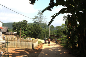 Nhờ nguồn lực từ chương trình 135, đường làng được bê tông hóa tạo điều kiện thuận lợi cho bà con dân tộc Dao ở xóm Đồng Bưởi , xã Trường Sơn (Lương Sơn) từng bước ổn định cuộc sống.

