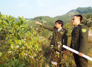 Lực lượng Kiểm lâm TP Hòa Bình triển khai phương án PCCCR mùa khô 2015-2016 tại xã Trung Minh.