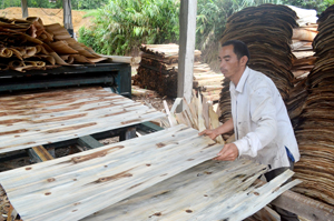 Tận dụng  tiềm năng của  địa phương,  hộ dân thôn  Công, thị trấn Đà Bắc  (Đà Bắc)?phát triển sản xuất gỗ bóc.
