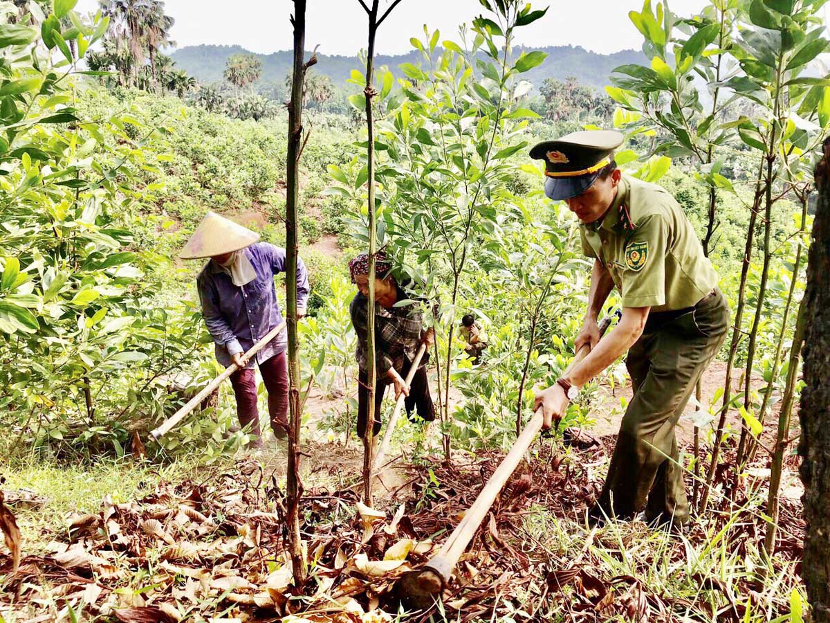 Xã Xăm Khòe: Làm tốt công tác quản lý, bảo vệ và phát triển rừng