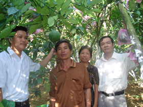 Hội nông dân tỉnh tham quan mô hình trồng bưởi của hộ gia đình sản xuất giỏi xã Hào Lý(Đà Bắc).
