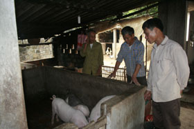 Trưởng thôn Nguyễn Văn Dương(thôn Bãi Sắc -Mông Hoá) trao đổi kinh nghiệm phát triển kinh tế với các hội viên nông dân trong thôn.