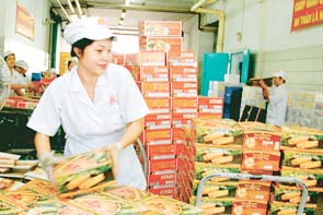 Xuất xưởng thực phẩm của Công ty
Vissan phục vụ Tết Canh Dần.
