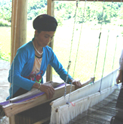 Nhiều người ở xã Tân Pheo huyện Đà Bắc khôi phục nghề dệt thổ cẩm có thêm thu nhập cho gia đình.