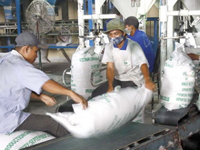 Xuất khẩu gạo tại Xí nghiệp chế biến lương thực Càng Long, thị trấn Càng Long, huyện Càng Long, tỉnh Trà Vinh