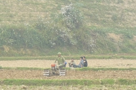 Người dân xã Độc Lập được hỗ trợ mua máy cày dắt tay phục vụ sản xuất nông nghiệp