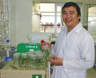 Nghiên cứu sinh Cao Đình Hùng trong phòng thí nghiệm tại Úc