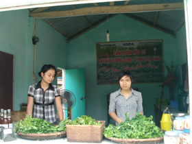 Huyện Lương Sơn đã thí điểm thành công mô hình sản xuất nông nghiệp hữu cơ, sản phẩm đã có mặt tại thị trường Hà Nội.