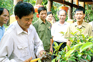 CCB Bùi Hữu Hiền, thị trấn Bo (Kim Bôi) giới thiệu với các hội viên Hội CCB  về kỹ thuật trồng và chăm sóc cây cảnh.
