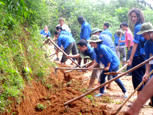 Tình nguyện viên Việt Nam - Canada tham gia các hoạt động tình nguyện tại xã Yên Mông (TPHB).
