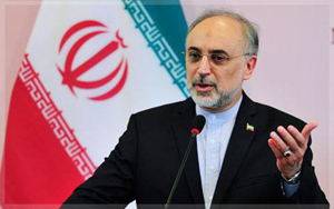 Ngoại trưởng Iran Ali Akbar Salehi đã chỉ trích Arập Xêút về tuyên bố có thể gia tăng việc sản lượng dầu nếu các biện pháp cấm vận của phương Tây cắt giảm lượng xuất khẩu của Iran.

