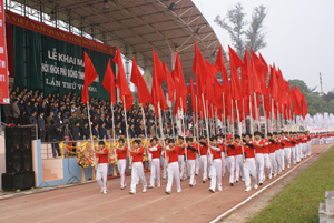 Diễu hành tại Lễ khai mạc Hội khỏe Phù Đổng tỉnh lần thứ VI năm 2011.