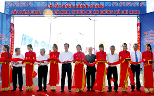 Thủ tướng và các đại biểu cắt băng khánh thành cầu Đầm Cùng - Ảnh: Chinhphu.vn