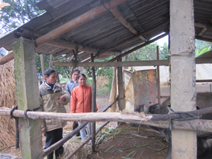 Kiểm tra công tác dự trữ thức ăn và che chắn chuồng trại gia súc tại các hộ ở xóm Nam Hạ, xã Nam Thượng.