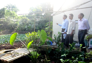 Cán bộ Trung tâm Khuyến khích phát triển kinh tế TPHB tham khảo mô hình trồng rau sạch với hệ thống tưới nước tự động của hộ gia đình anh Nguyễn Văn Hải (xóm Chùa, xã Thống Nhất).