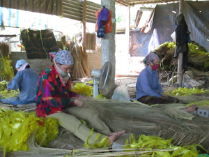 Nhân dân thị trấn Kỳ Sơn phát triển nghề chổi chít, góp phần giải quyết việc làm và tăng thu nhập cho nhiều lao động nữ.
(Ảnh: Lưu An).