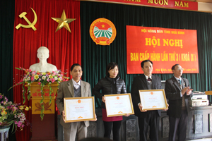 Được ủy quyền, đồng chí Chủ tịch Hội Nông dân tỉnh trao Bằng khen của Trung ương Hội Nông dân Việt Nam cho các tập thể.