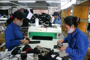 Nhà máy sản xuất hàng may mặc xuất khẩu thuộc Công ty TNHH Seyoung INC Hàn Quốc có quy mô đâu tư hàng triệu sản phẩm/năm.
