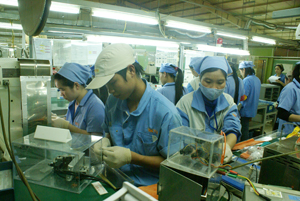 Năm 2013, Công ty TNHH Sankoh Việt Nam 100% vốn Nhật Bản thực hiện giá trị xuất khẩu đạt 16,5 triệu USD.