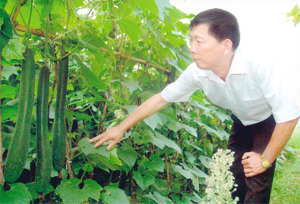 Năm 2013, xã Đoàn Kết (Yên Thủy) đã mở rộng diện tích trồng bí các loại được gần 50 ha mang lại hiệu quả kinh tế cao.